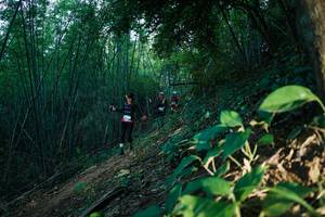 BIB: 
                            <button type="button" onclick="openModal(28124383)" class="btn btn-primary btn-sm float-right btn-popup" data-toggle="modal" data-target=".modal-high-quality">
                        <i class="fas fa-shopping-cart"></i> Add to Cart
                    </button>
                                            <button type="button" onclick="isThisMe(28124383, true)" class="btn btn-success btn-sm float-right btn-popup btn-isme hidden" data-toggle="tooltip" data-placement="bottom" title="นี่คือรูปของคุณใช่ไหม คลิกที่นี่เพื่อเอาเข้าอัลบั้ม">
                        <i class="fas fa-plus"></i> Add to album
                    </button>
                    <button type="button" onclick="isThisMe(28124383, false)" class="btn btn-warning btn-sm float-right btn-popup btn-isnotme hidden">
                        <i class="fas fa-ban"></i> Remove from album
                    </button>